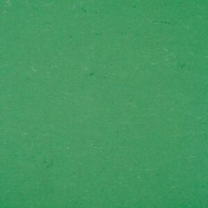 Colorette 0006 Vivid Green