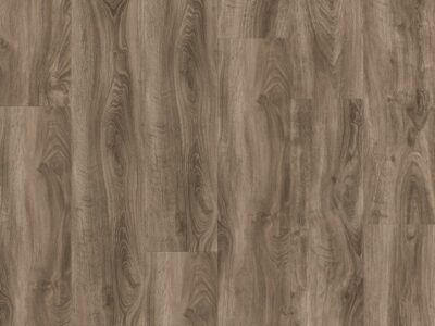 CLASSICS English Oak Brown 24502009.jpg